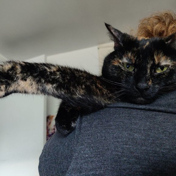 Meet your Posher, Eve - Picture 2 of 2